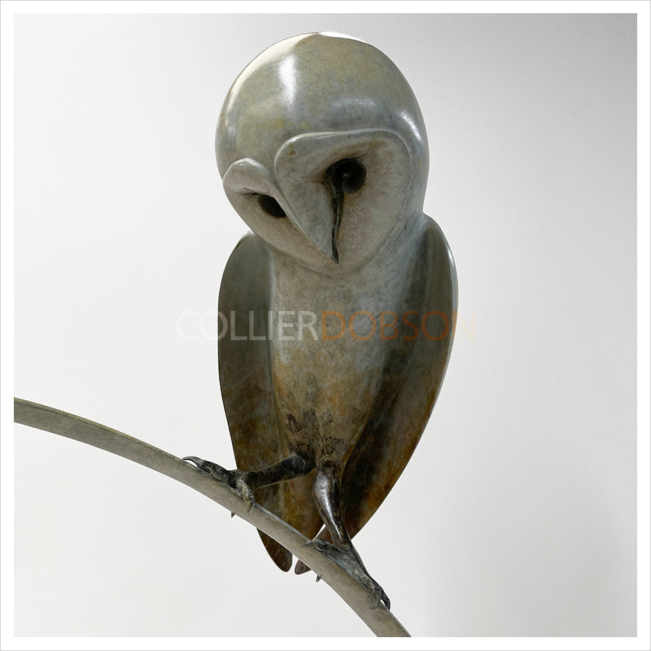 Barn Owl by Sophie Louise White