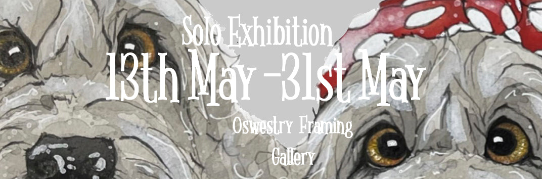 Bev Davies Solo Exhibition