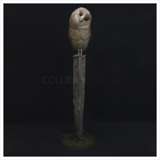 Barn Owl on Burnt Post by Adam Binder
