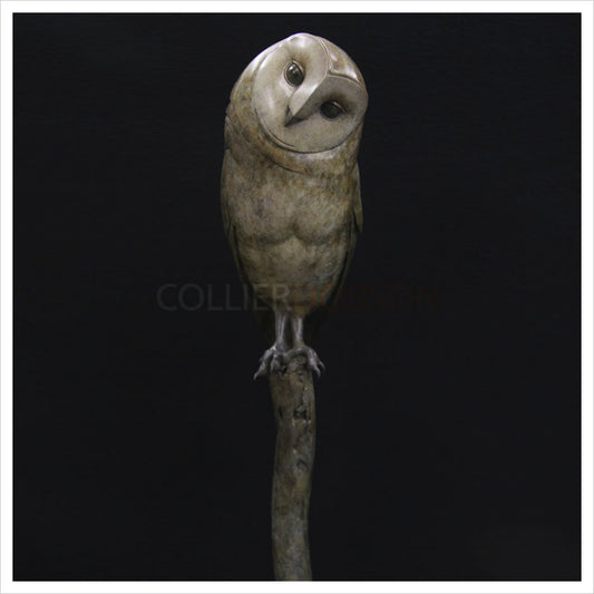 Barn Owl on Burnt Post by Adam Binder