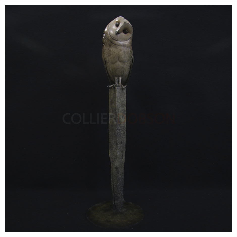 Barn Owl on Burnt Post by Adam Binder