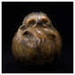 Sloth by Adam Binder