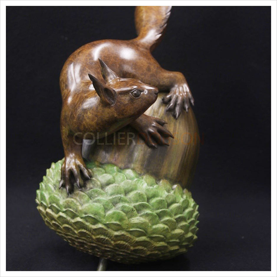 Bust a Nut by Adam Binder and Adam Paddon