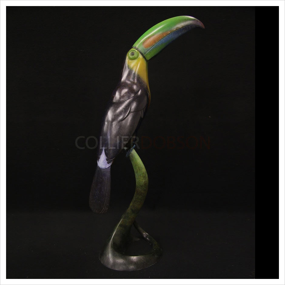 Keel Billed Toucan by Adam Binder