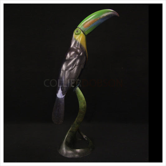 Keel Billed Toucan by Adam Binder