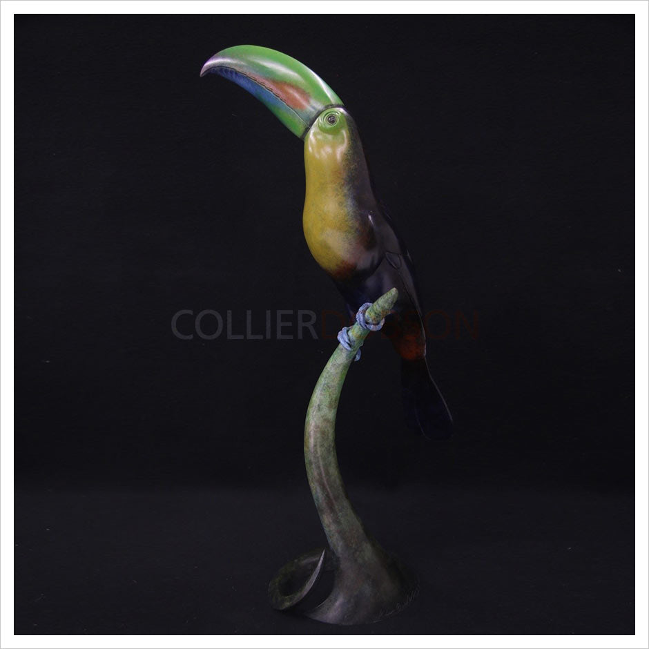 Keel Billed Toucan by Adam Binder
