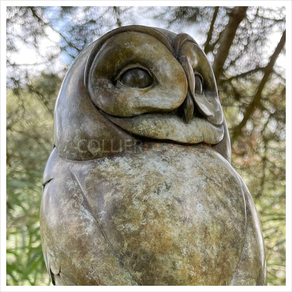 Tawny Owl on a Post by Adam Binder