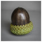 Acorn II by Adam Paddon