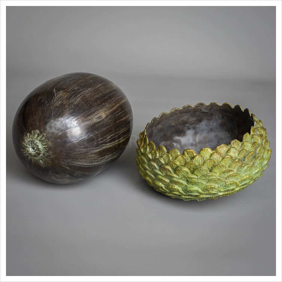Acorn II by Adam Paddon