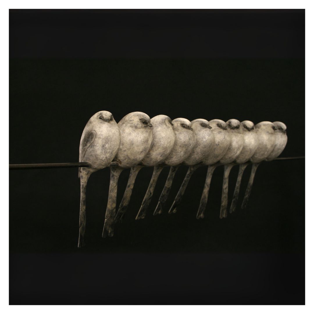 Row of birds perched on a wire against a black background