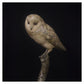 Stone owl sculpture on a branch against a black background