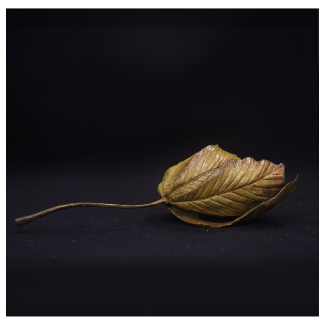 Dry leaf on a black background