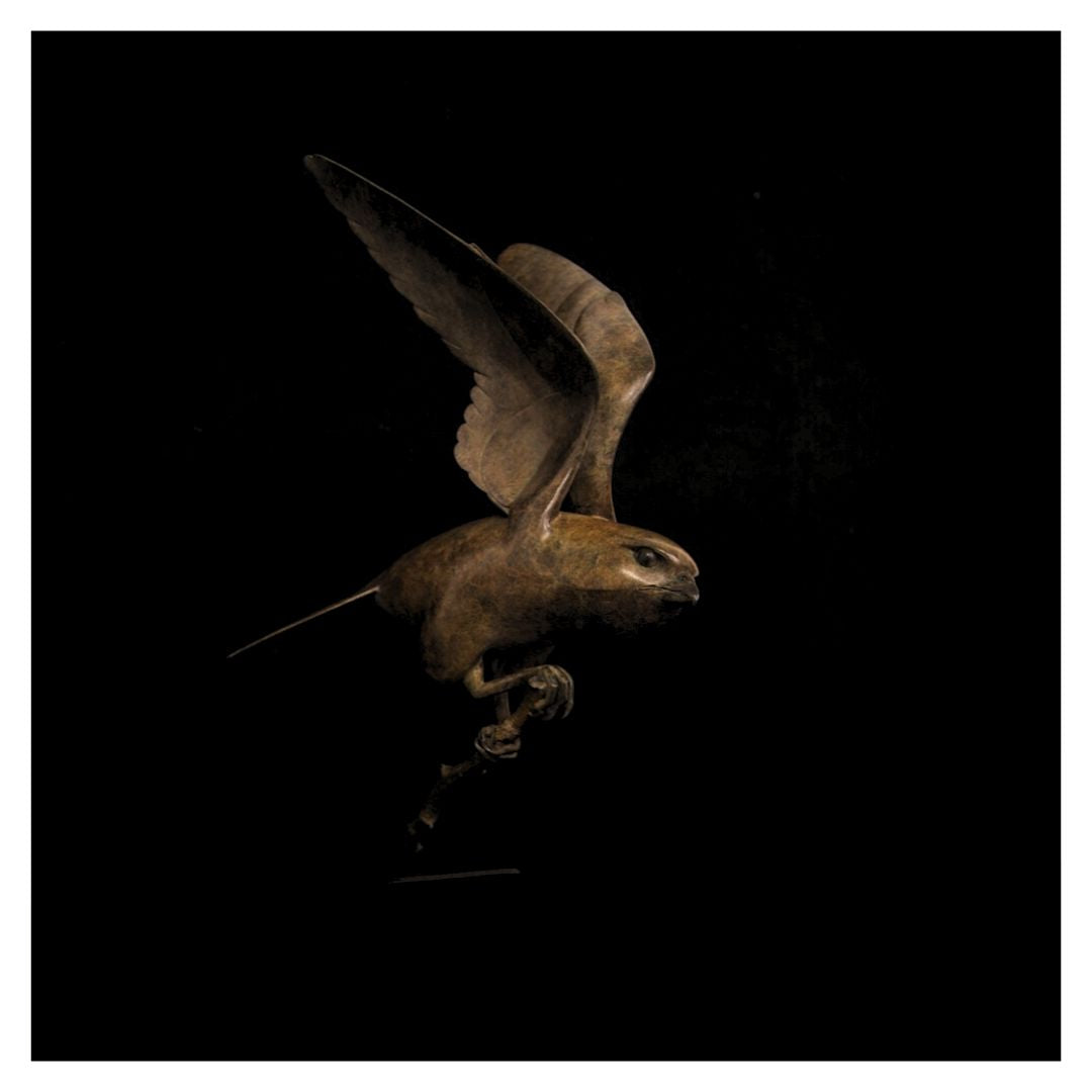 Bronze sculpture of a bird in flight on a black background