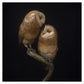 Two owl sculptures on a branch against a black background