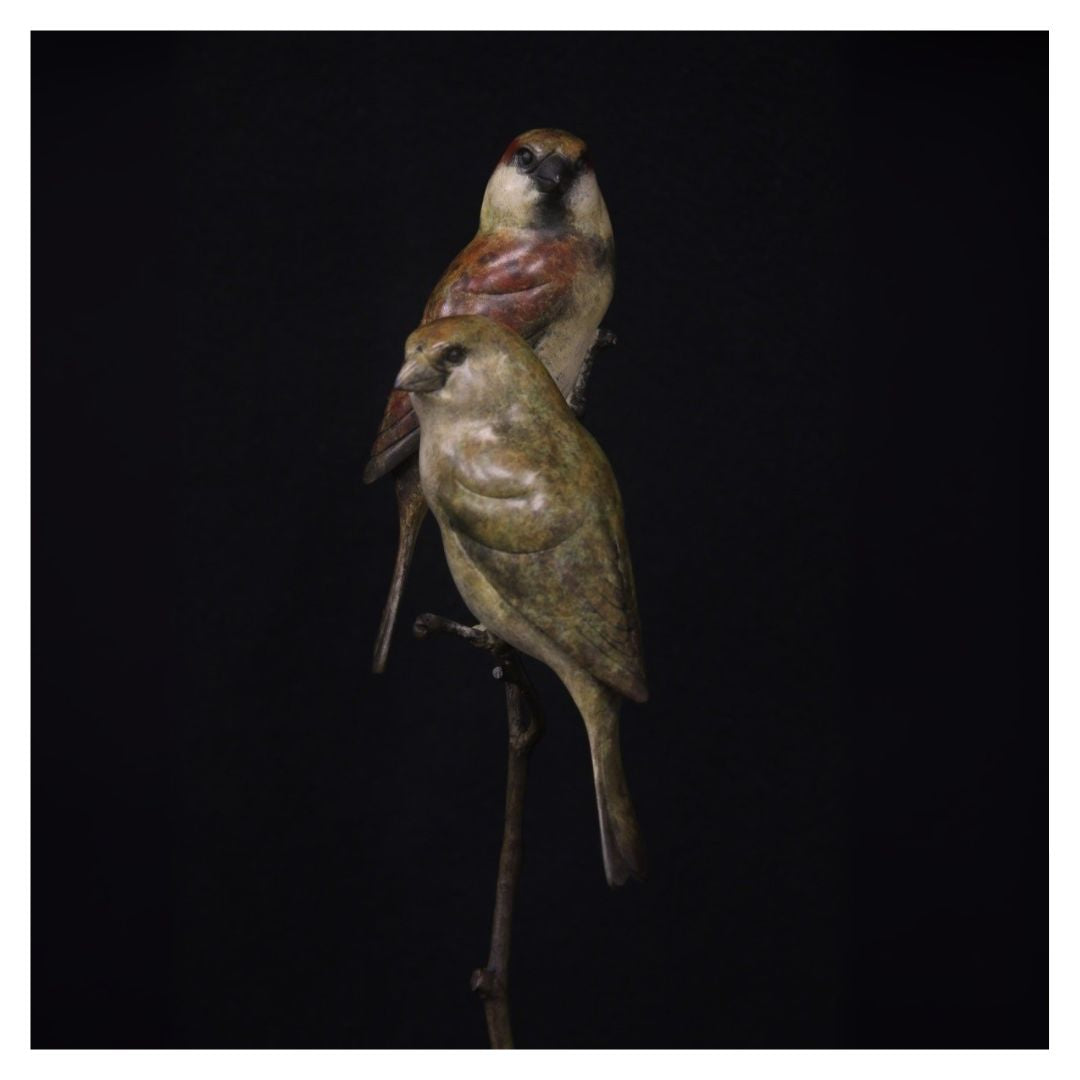 Two birds perched on a branch against a black background