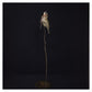 Dead bird on a stick against a black background