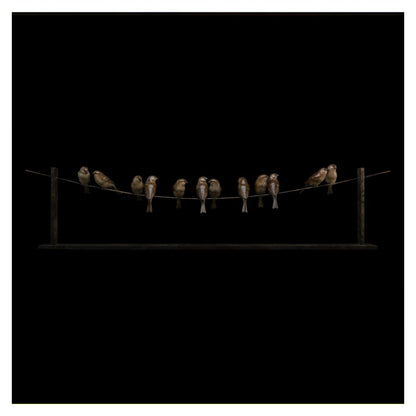 Artistic depiction of birds perched on a wire against a black background