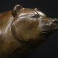 Adam Binder Brown Bear