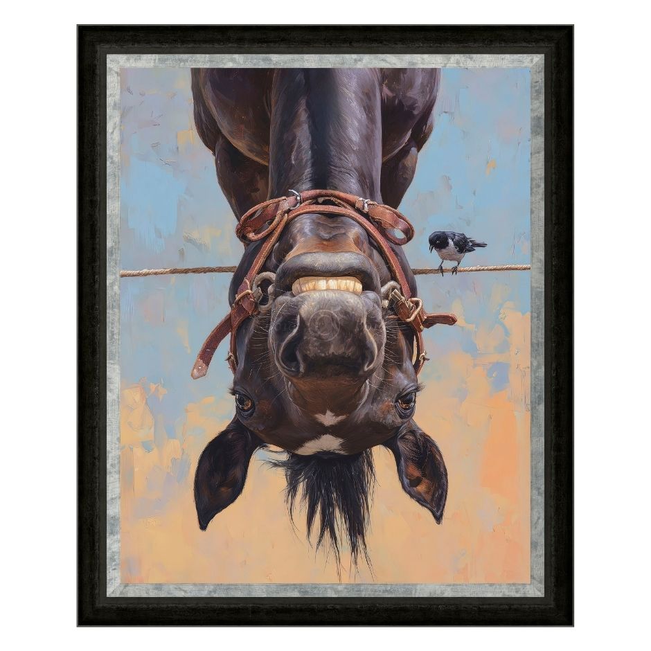 Boid-Hung-Like-A-Horse