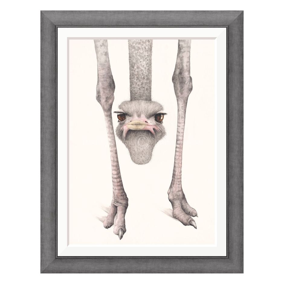 Framed artwork of an ostrich with a white background