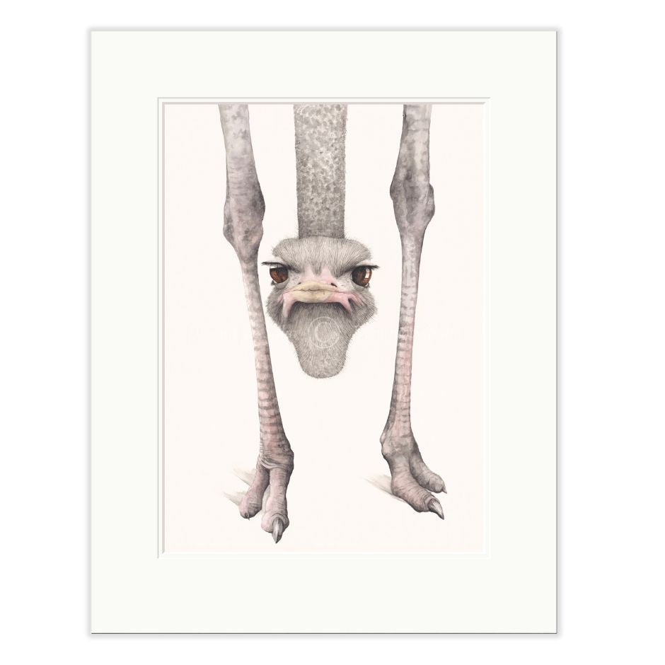 Illustration of an ostrich with a humorous perspective, showing only its legs and head on a white background.