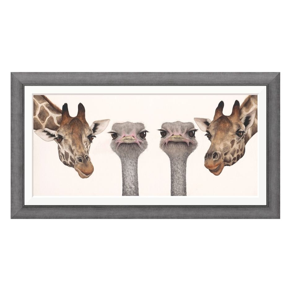 Framed artwork with two giraffes and two ostriches on a white background