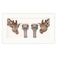 Two giraffes and two ostriches with their heads close together on a white background