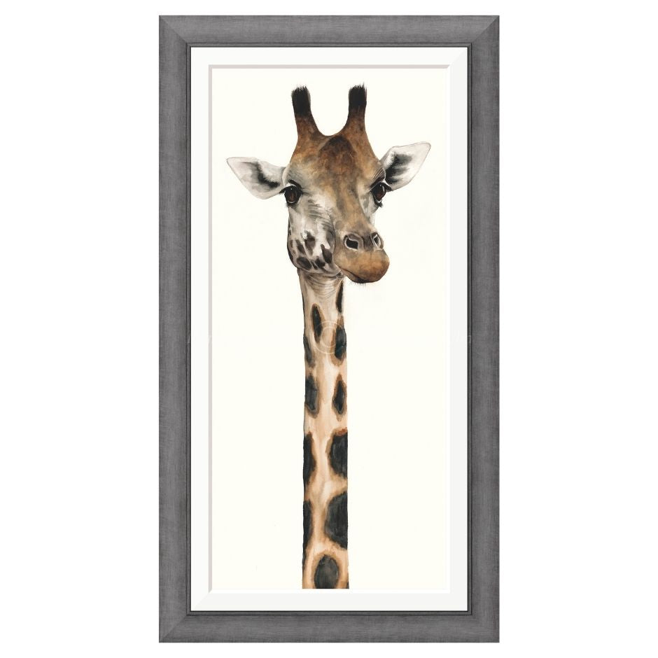 Tall, Dappled and Handsome