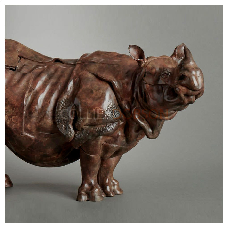 Greater One Horned Rhino by Fred Gordon