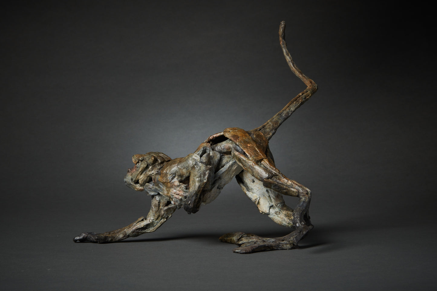 Fred Gordon Running macaque monkey
