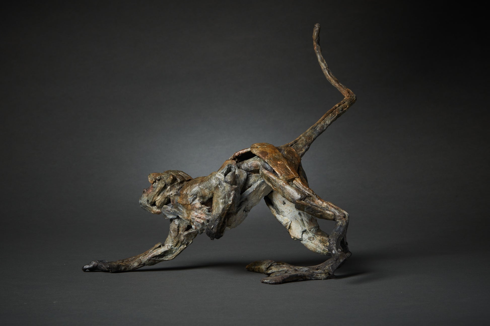 Fred Gordon Running macaque monkey

