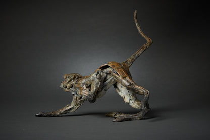 Fred Gordon Running macaque monkey
