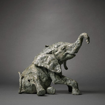 Fred-Gordon-Elephant-Calf