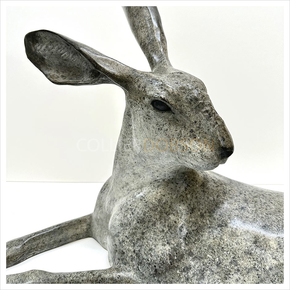 Hare Lying Down by Gill Parker