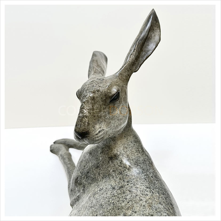 Hare Lying Down by Gill Parker