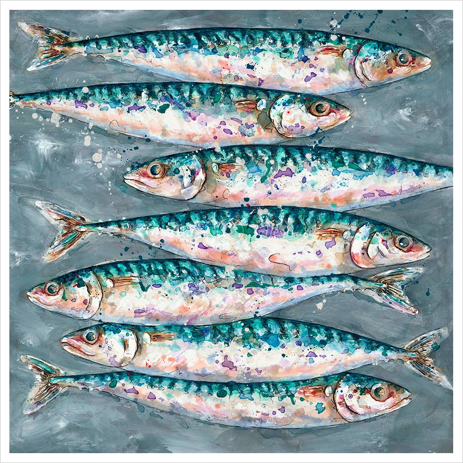 Mackerel Swim by Giles Ward