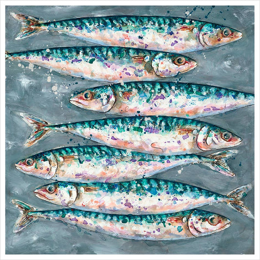 Mackerel Swim by Giles Ward