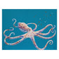 Colorful octopus illustration on a blue background