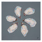 Artistic depiction of oyster shells on a gray background