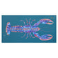 Colorful lobster illustration on a blue background