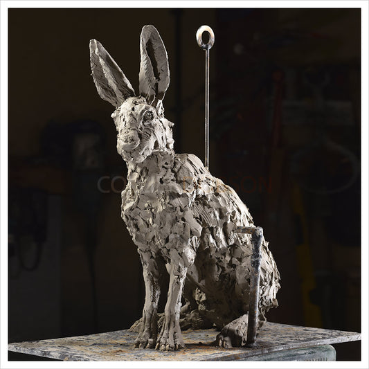 Hare Sitting by Hamish Mackie
