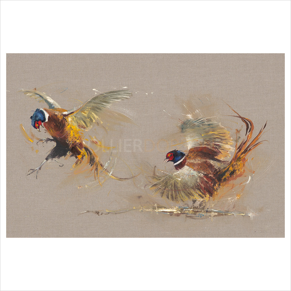 Two Chasing Pheasants by Josie Appleby