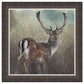Julia Whitehead Fallow Deer