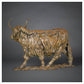 Highland Cow by William Montgomery