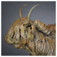 Highland Cow by William Montgomery