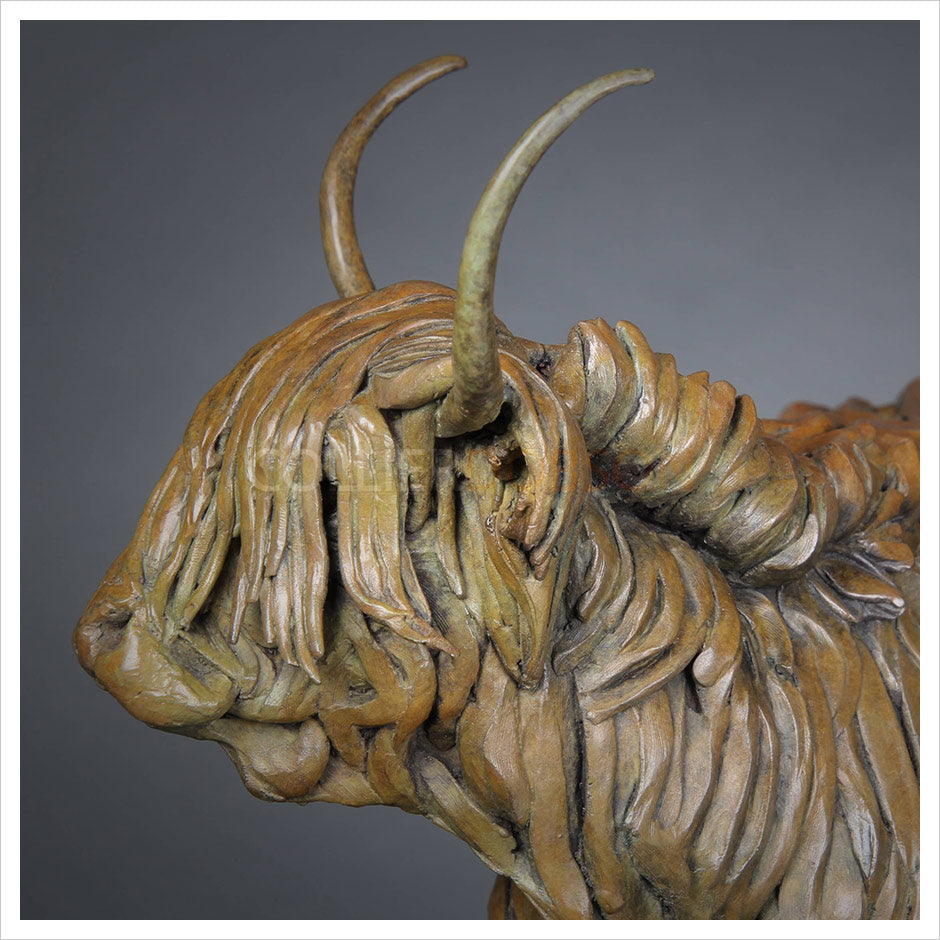 Highland Cow by William Montgomery