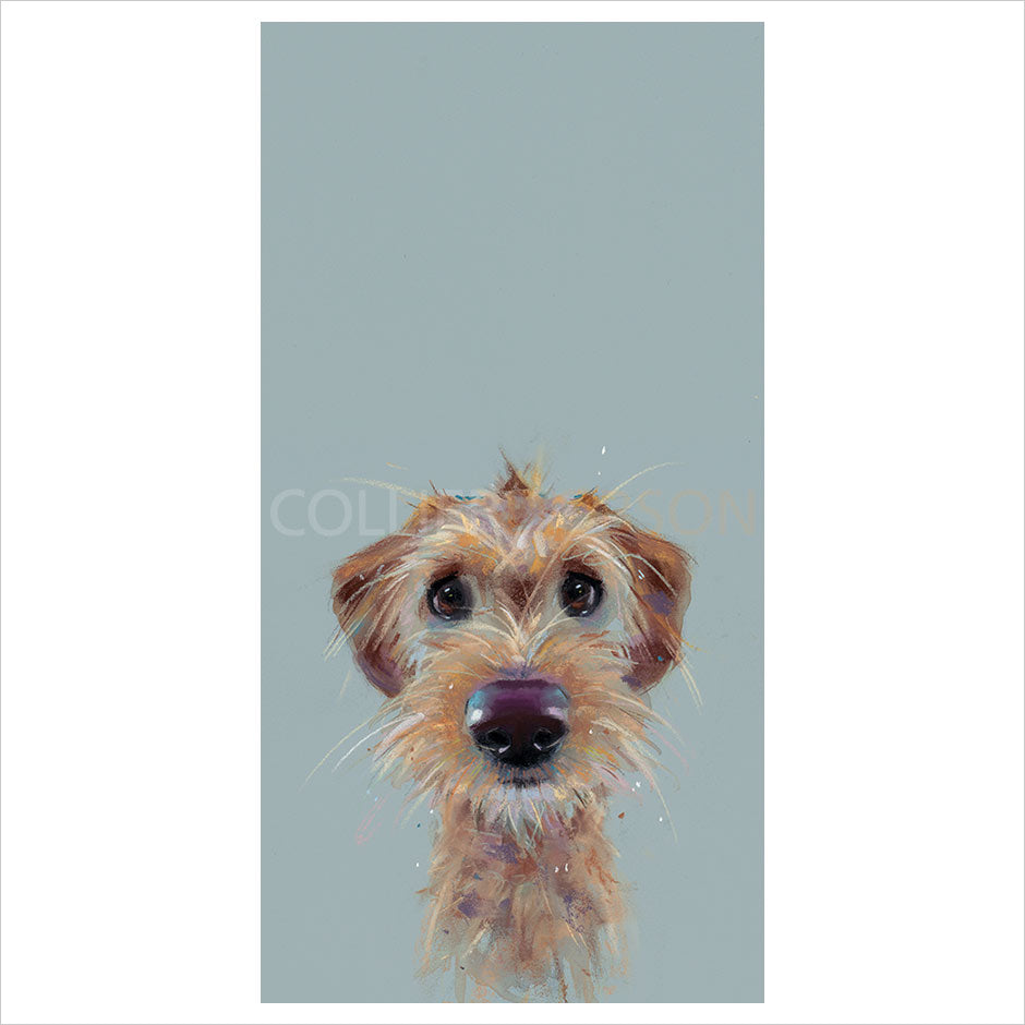 Scruff by Nicky Litchfield