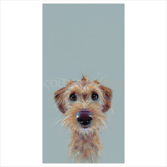Scruff by Nicky Litchfield