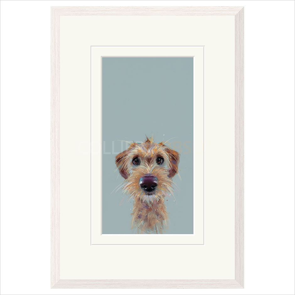 Scruff by Nicky Litchfield