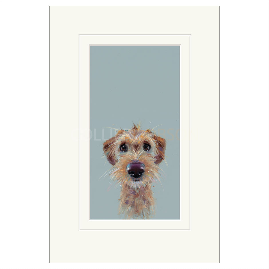 Scruff by Nicky Litchfield